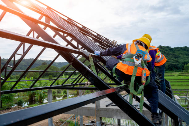 Best Metal Roofing Contractor  in Waynesville, OH