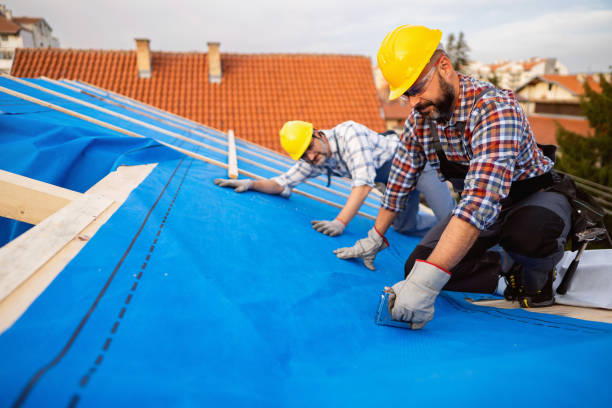 Best New Roof Installation  in Waynesville, OH