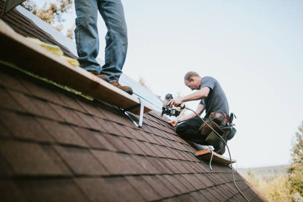 Best Roof Gutter Cleaning  in Waynesville, OH